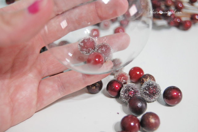 berries inside glass ornament