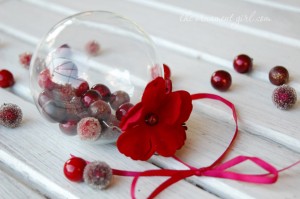 red holly berry ornament