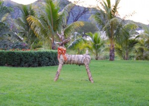 there are reindeer in costa rica