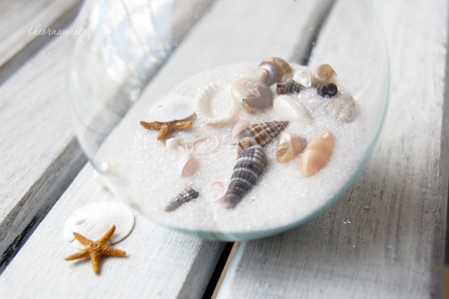 seashell and sand in clear glass ornament