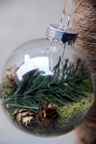 pine branches and pinecones inside clear glass bulb
